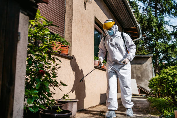 Best Affordable Pest Control Services  in Marine City, MI