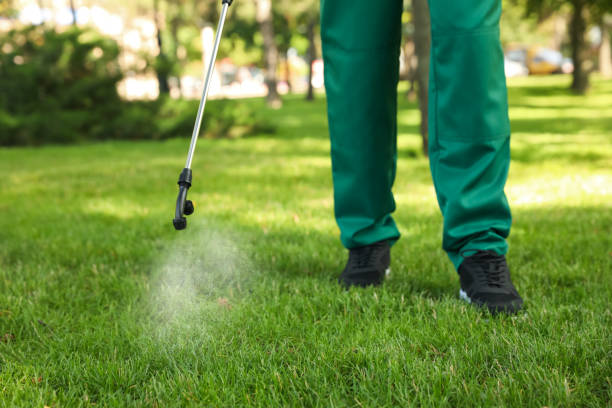 Best Pest Prevention Services  in Marine City, MI