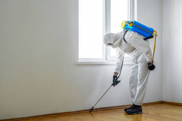  Marine City, MI Pest Control Pros
