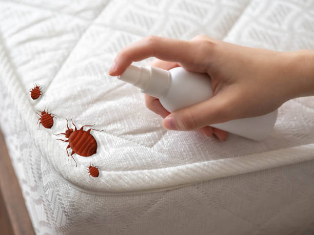 Best Pest Control for Businesses  in Marine City, MI