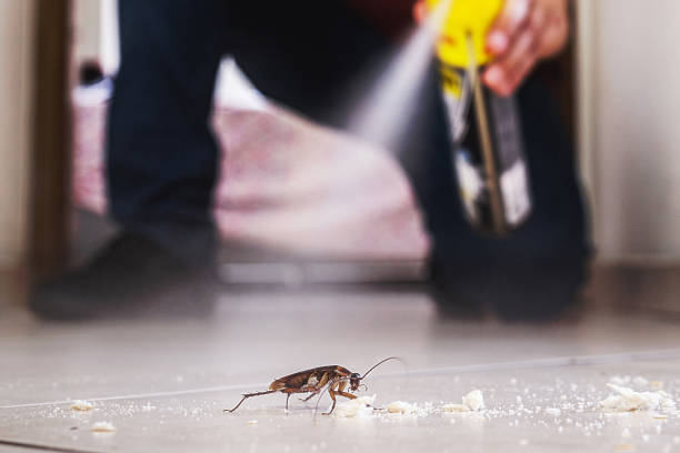 Best Pest Removal Services  in Marine City, MI