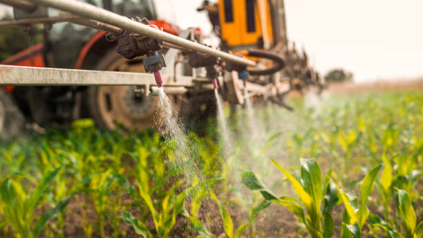 Best Mosquito Control Services  in Marine City, MI