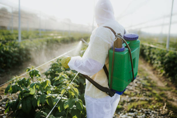 Best Pest Removal Services  in Marine City, MI